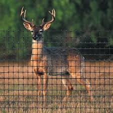 Black Polypropylene Deer Fence Dubois