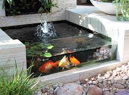 Raised Wooden Pond Ideas In 2024