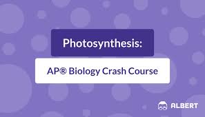 Photosynthesis Ap Biology Crash Course