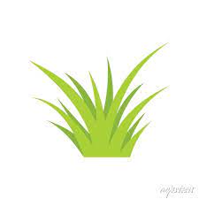 Green Lawn Grass Icon Vector Design
