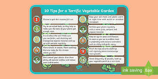 Terrific Vegetable Garden Poster