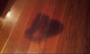 Clean Black Urine Stains
