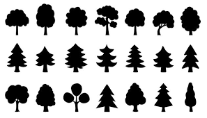 Tree Icon Images Browse 2 806 477