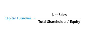 Capital Turnover Formula Calculator