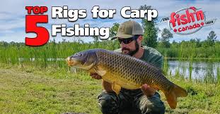 Top 5 Rigs For Carp Fishing Fish N Canada