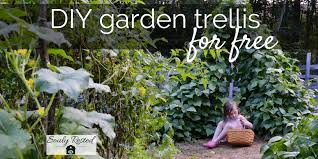 Wanna Make Your Own Garden Trellis For