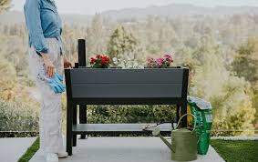 Graphite Darwin 29 Gallon Raised Garden