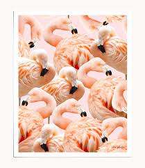 Flamingo Blush Art Print Tropical