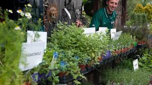 Patio Herb Garden