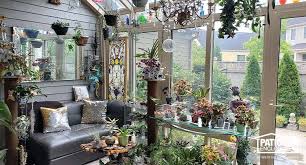 Plants To Complement Your Sunroom Design