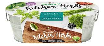 Buzzy Kitchen Herbs Windowsill Grow Kit