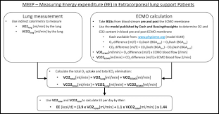 Extracorporeal Lung Support Patients