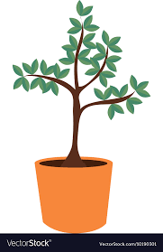 Pot Tree Nature Icon Graphic Royalty
