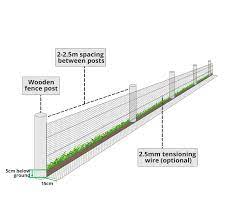 Rabbit Proof Fencing Rabbit Watch