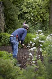 Soil To Buy For Your Garden