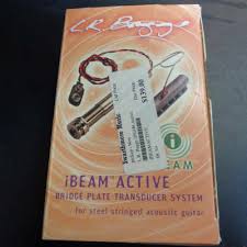 l r baggs i beam active system
