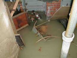 Water Damage In Your Basement