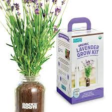Roots Organic Lavender Grow Kit