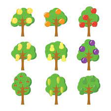 Fruit Tree Vector Art Icons And