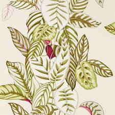 Calathea By Sanderson Lines Of Pinner