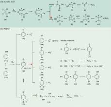 Hydrogen Peroxide Formation During