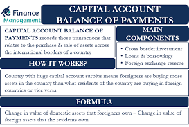Capital Account Balance Of Payments