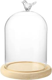 Forart Clear Glass Cloche Bell Jar