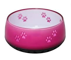 Food Or Water Bowl Fluro Resin Paws