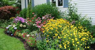 Plants For The Cottage Garden Style