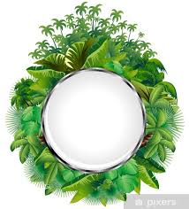 Shower Curtain Vegetazione Tropicale