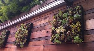 Wall Planters For Your Vertical Garden
