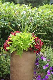 25 Flower Pot Ideas Momcrieff