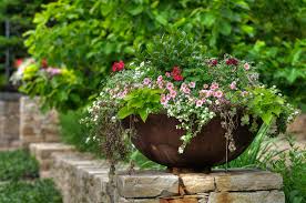 7 Quick Tips For Planting In Containers