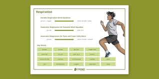 Respiration Word Mat Science Beyond