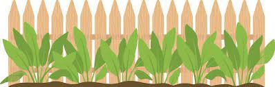 Wooden Fence With Plants Isolated Icon