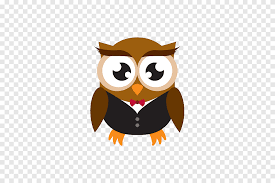 Owl Icon Suit Owl Brown Color Png