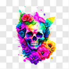 Colorful Skull With Flowers Art Png