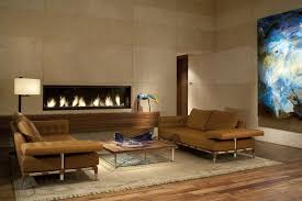 Gas Linear Burner Fireplace Photos