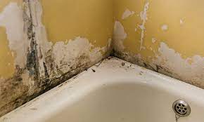 Black Mould From Your Bathroom Sealant