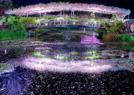 Inside Ashikaga Flower Park S Dreamy