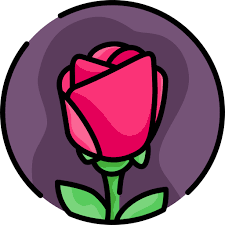Rose Bqlqn Lineal Color Icon