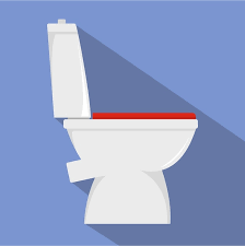 Home Toilet Icon Flat Ilration