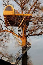 Tree House Designs Cool Tree Houses