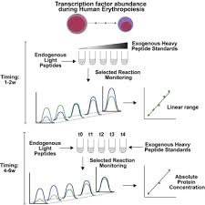 Mass Spectrometry