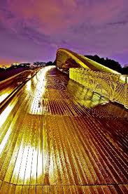 henderson waves bridge at night