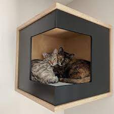 Cat Shelf Cat Box Wall Mounted Cat Bed