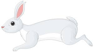 Free Vector White Rabbit Cartoon