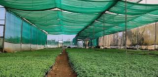 For Agriculture Outdoor Agro Shade Net