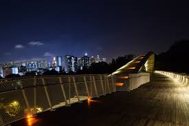 henderson waves bridge in singapore