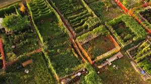 Urban Gardening Stock Footage